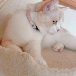 小さなお花　猫さんにやさしい首輪【かぎ針編み　猫の首輪　猫　首輪　セーフティバックル　アジャスター　軽い　やわらかい】 9枚目の画像