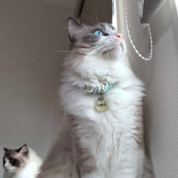 小さなお花　猫さんにやさしい首輪【かぎ針編み　猫の首輪　猫　首輪　セーフティバックル　アジャスター　軽い　やわらかい】 7枚目の画像