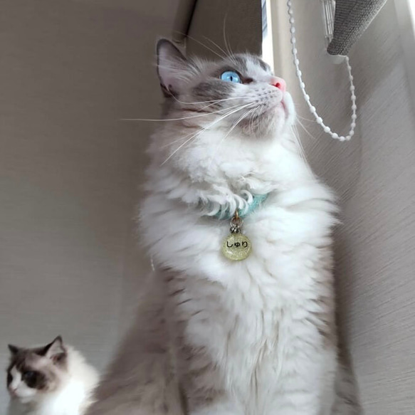 小さなお花　猫さんにやさしい首輪【かぎ針編み　猫の首輪　猫　首輪　セーフティバックル　アジャスター　軽い　やわらかい】 7枚目の画像