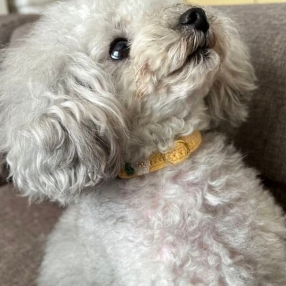 小さなお花　猫さんにやさしい首輪【かぎ針編み　猫の首輪　猫　首輪　セーフティバックル　アジャスター　軽い　やわらかい】 8枚目の画像