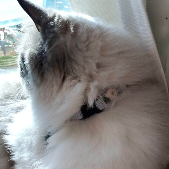 小さなお花　猫さんにやさしい首輪【かぎ針編み　猫の首輪　猫　首輪　セーフティバックル　アジャスター　軽い　やわらかい】 10枚目の画像