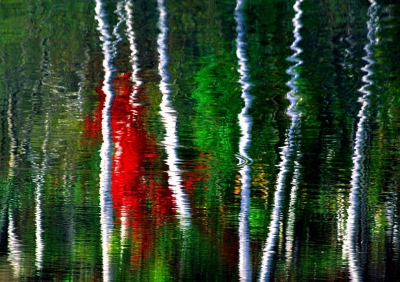 池面を彩る秋彩模様（１） 1枚目の画像
