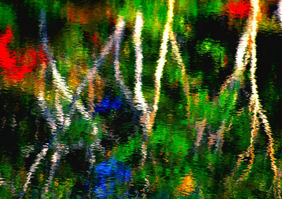 池面を彩る秋彩模様（２） 1枚目の画像