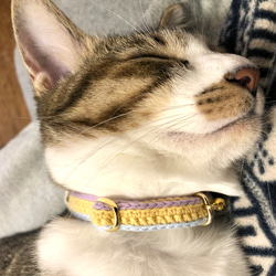 マルチカラー全７色　猫さんにやさしい首輪【かぎ針編み　猫の首輪　猫　首輪　セーフティバックル　軽い　やわらかい】 6枚目の画像