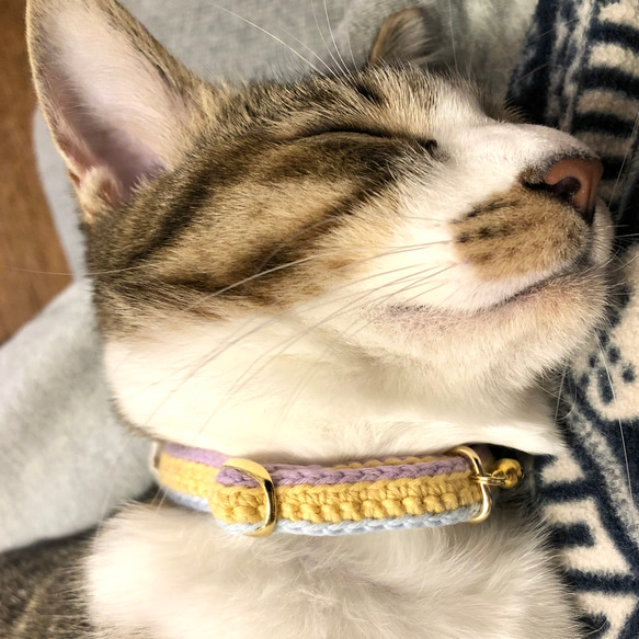 マルチカラー全７色　猫さんにやさしい首輪【かぎ針編み　猫の首輪　猫　首輪　セーフティバックル　軽い　やわらかい】 6枚目の画像