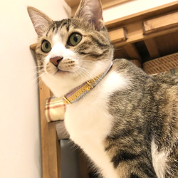 マルチカラー全７色　猫さんにやさしい首輪【かぎ針編み　猫の首輪　猫　首輪　セーフティバックル　軽い　やわらかい】 4枚目の画像