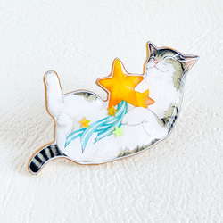 猫と流れ星　ミニブローチ 9枚目の画像