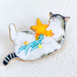 猫と流れ星　ミニブローチ 5枚目の画像