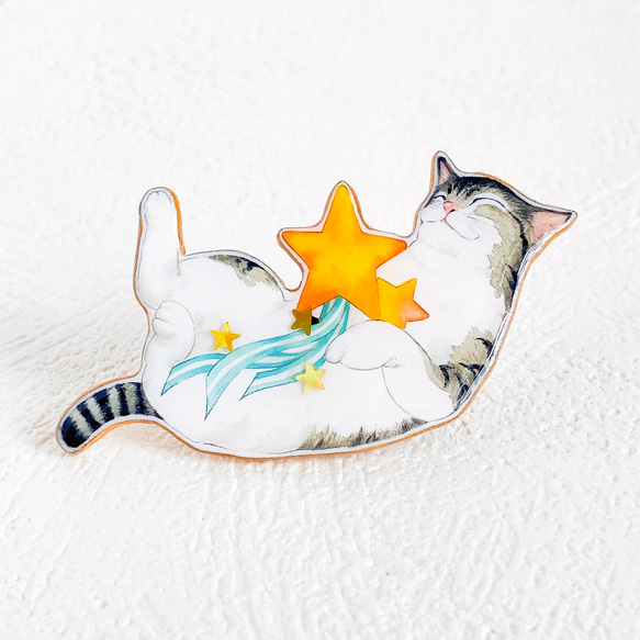 猫と流れ星　ミニブローチ 1枚目の画像