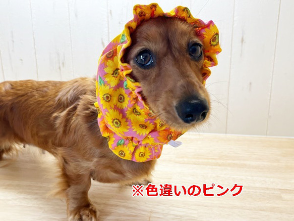 【New】 スヌード　ひまわり 【赤×イエロー】 たれ耳 わんこ 犬服 犬 花 向日葵 夏 7枚目の画像