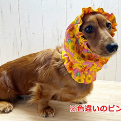 【New】 スヌード　ひまわり 【赤×イエロー】 たれ耳 わんこ 犬服 犬 花 向日葵 夏 8枚目の画像