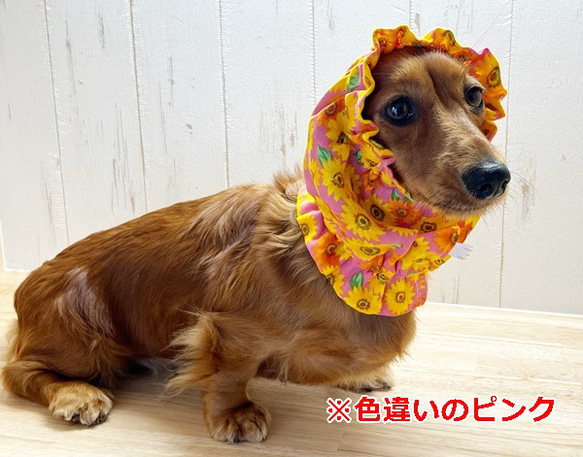 【New】 スヌード　ひまわり 【赤×イエロー】 たれ耳 わんこ 犬服 犬 花 向日葵 夏 8枚目の画像