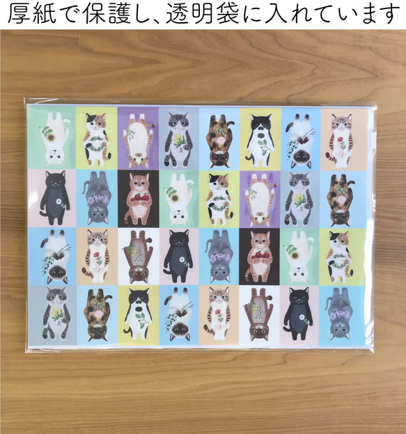A4ペーパー 『絵本の中の猫　No.1』20枚入り 8枚目の画像