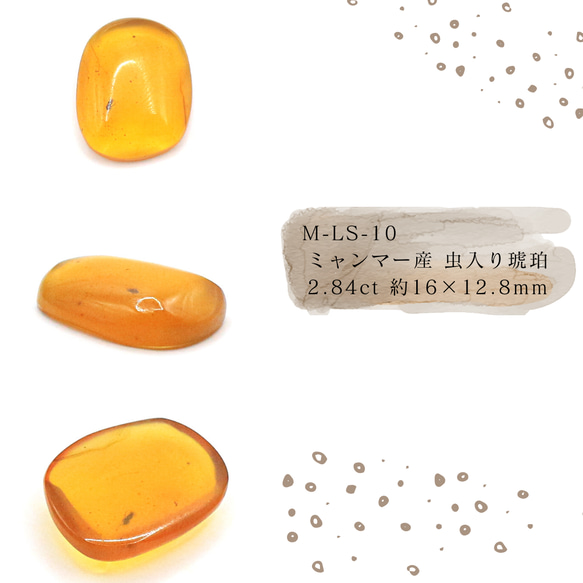 ミャンマー琥珀 （特大、厚みがあるのにこの透明感。虫多数