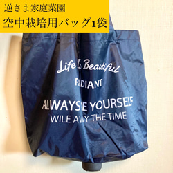 笹岡桃流斎　青磁花瓶 美しい色と形！希少！ d57df0059adc2f6aef6bab64f5eaa3