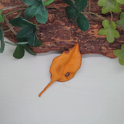 枯れ葉モチーフのブローチ１ 1枚目の画像