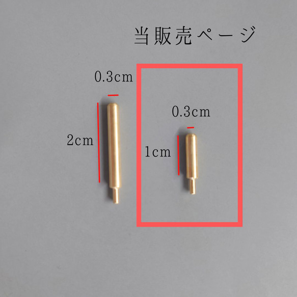  第2張的照片