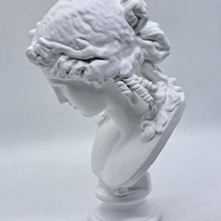 石膏像　デッサン　アリアス　ホワイト　インテリア　彫刻　置物　レジン 2枚目の画像