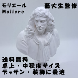 石膏像 デッサン ジョルジョ ホワイト インテリア 彫刻 置物 石膏像 デッサン ジョルジョ ホワイト インテリア 彫刻 置物