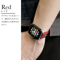 メンズ　クロコ　アップルウォッチ　ギフト　Watch CPU 003 (apple watch)#mm00000604 10枚目の画像