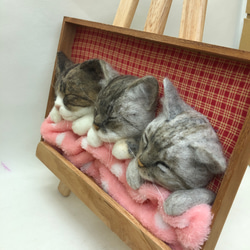 19500円→17400円値下げ中　３匹の仲良し猫ちゃんを一緒に♡ うとうとわんちゃん オーダーメイド　羊毛フェルト 3枚目の画像