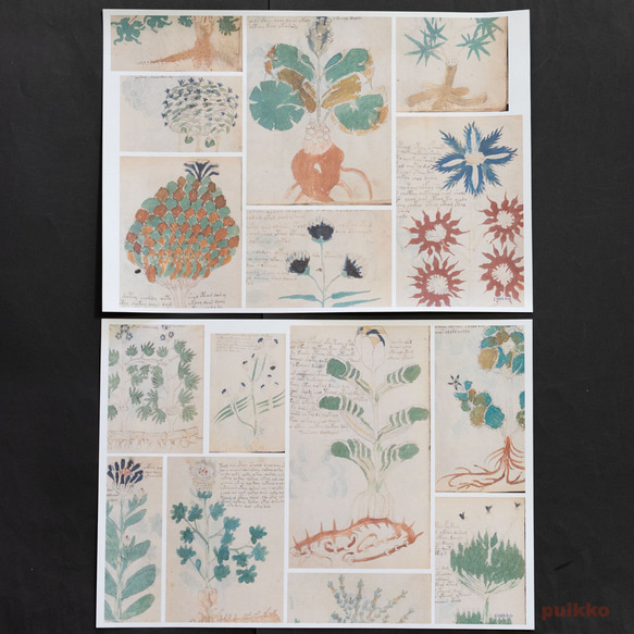 紙製ブックカバー　ヴォイニッチ手稿3（カラー）（5枚セット） 3枚目の画像