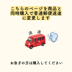 kuro**普通郵便は平日発送さまおまとめ DSXMZO3809746022112018EE8001-3