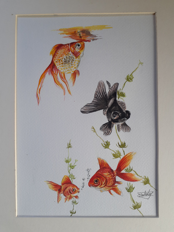 水彩画 金魚の仲間 絵画 makochin 通販｜Creema(クリーマ) 16302623