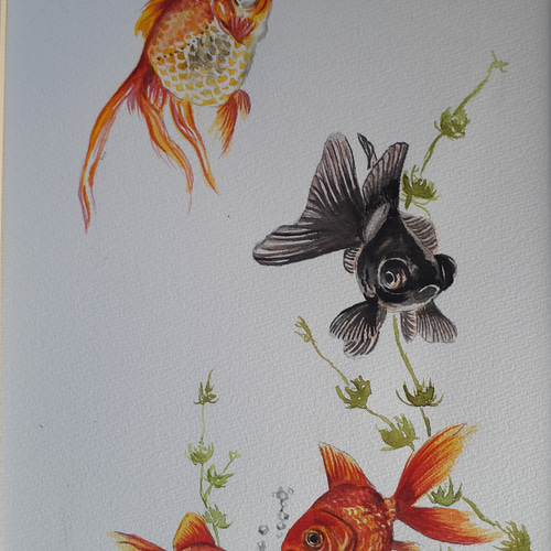 絵画　金魚 水彩画 金魚 絵画 makochin 通販 18135622｜Creema(クリーマ)