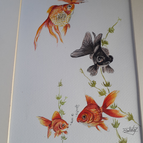 金魚鉢 粉彩鳳凰牡丹絵