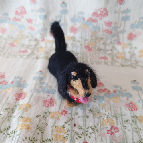 ちょこ様ご依頼品 ダックスちゃん 羊毛フェルト mi-wa 通販 16305523