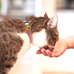 ひまわり　猫さんにやさしい首輪【かぎ針編み　猫の首輪　猫　首輪　セーフティバックル　アジャスター　軽い　やわらかい】 5枚目の画像