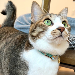 チョコミント&コットンキャンディ　猫さんにやさしい首輪【かぎ針編み　猫の首輪　猫　首輪　セーフティバックル　軽い】 5枚目の画像