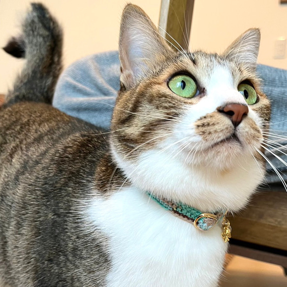 チョコミント&コットンキャンディ　猫さんにやさしい首輪【かぎ針編み　猫の首輪　猫　首輪　セーフティバックル　軽い】 5枚目の画像