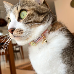 チョコミント&コットンキャンディ　猫さんにやさしい首輪【かぎ針編み　猫の首輪　猫　首輪　セーフティバックル　軽い】 14枚目の画像