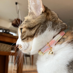 チョコミント&コットンキャンディ　猫さんにやさしい首輪【かぎ針編み　猫の首輪　猫　首輪　セーフティバックル　軽い】 14枚目の画像