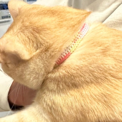 チョコミント&コットンキャンディ　猫さんにやさしい首輪【かぎ針編み　猫の首輪　猫　首輪　セーフティバックル　軽い】 17枚目の画像