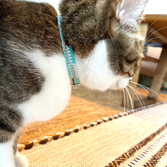 チョコミント&コットンキャンディ　猫さんにやさしい首輪【かぎ針編み　猫の首輪　猫　首輪　セーフティバックル　軽い】 6枚目の画像