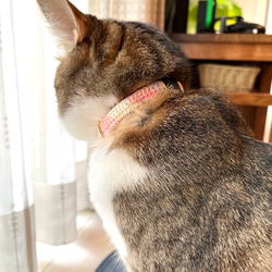 チョコミント&コットンキャンディ　猫さんにやさしい首輪【かぎ針編み　猫の首輪　猫　首輪　セーフティバックル　軽い】 17枚目の画像