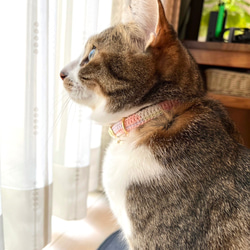 チョコミント&コットンキャンディ　猫さんにやさしい首輪【かぎ針編み　猫の首輪　猫　首輪　セーフティバックル　軽い】 16枚目の画像