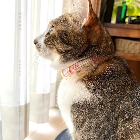 チョコミント&コットンキャンディ　猫さんにやさしい首輪【かぎ針編み　猫の首輪　猫　首輪　セーフティバックル　軽い】 16枚目の画像