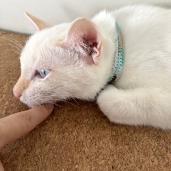 チョコミント&コットンキャンディ　猫さんにやさしい首輪【かぎ針編み　猫の首輪　猫　首輪　セーフティバックル　軽い】 9枚目の画像