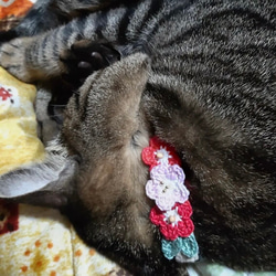 お花　3連　猫さんにやさしい首輪【かぎ針編み　猫の首輪　猫　首輪　セーフティバックル　アジャスター　軽い　やわらかい】 14枚目の画像