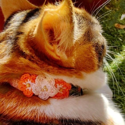 お花　3連　猫さんにやさしい首輪【かぎ針編み　猫の首輪　猫　首輪　セーフティバックル　アジャスター　軽い　やわらかい】 17枚目の画像