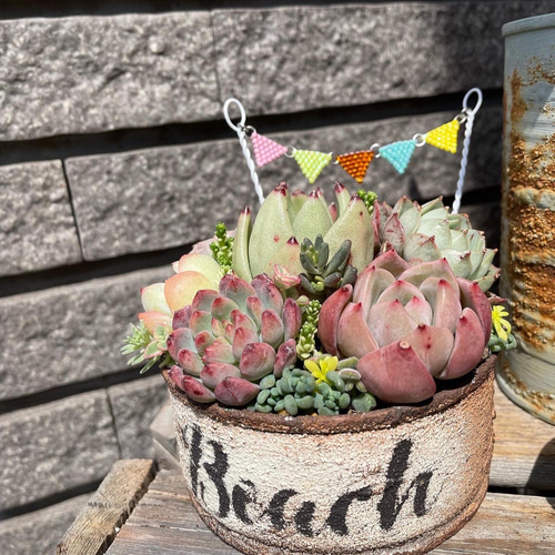 ビーズガーランド サビ風 男前 ガーデンピック 多肉植物の寄せ植えに