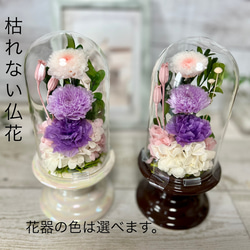 ハーバリウム ミニボトル3本セット❤︎ ハーバリウム・植物標本