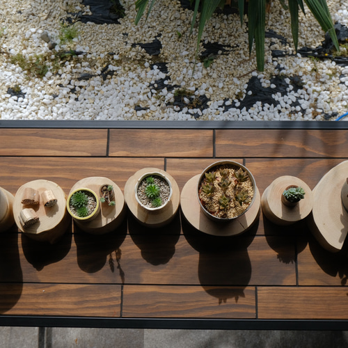 707 切り株 丸太 輪切り 欅 スツール ディスプレイ台 インテリア