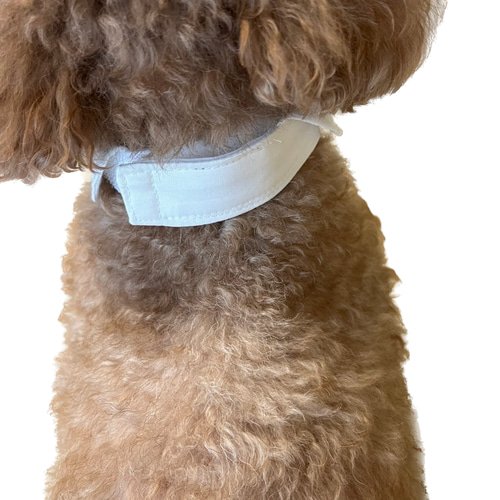 犬用付け襟 蝶ネクタイ チェック柄レッド ドット柄ネイビー XSサイズ S