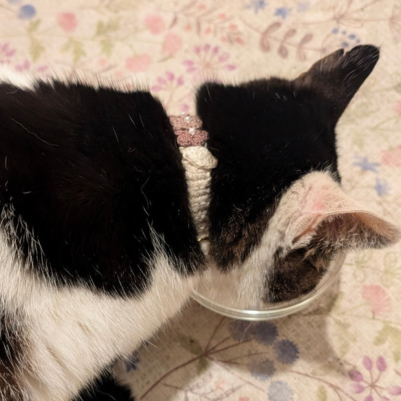 お花　モカ　猫さんにやさしい首輪【猫の首輪　猫　首輪　セーフティバックル　オーガニックコットン　軽量　やわらかい】 12枚目の画像