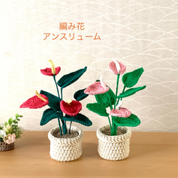 かぎ針編みの鉢植えの花のあみぐるみのパターン、花のかぎ針編み